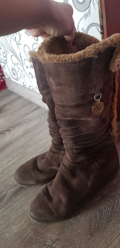 Лот: 17339032. Фото: 1. Зимние сапоги 👢 натуралка 39... Сапоги