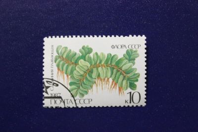 Лот: 6855898. Фото: 1. Почтовая марка №4066 в коллекцию. Марки