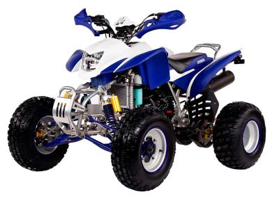 Лот: 25734280. Фото: 1. Квадроцикл IRBIS ATV250S. Снегоходы, квадроциклы