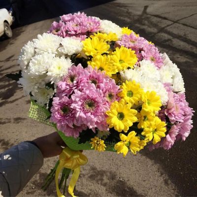 Лот: 9415261. Фото: 1. 11 хризантем. Свежие цветы