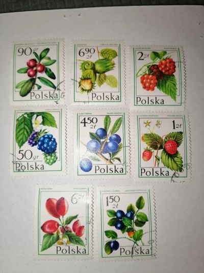 Лот: 24850259. Фото: 1. Флора Растения. Польша. Марки
