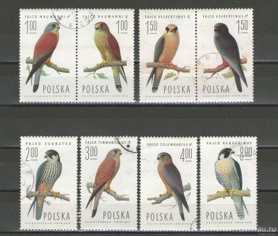 Лот: 16178538. Фото: 1. 1975 год. Польша. Полная серия... Марки