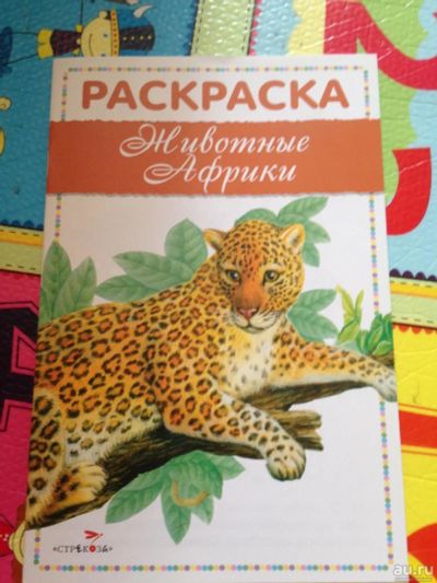 Лот: 9219479. Фото: 1. раскраска7. Развивающие