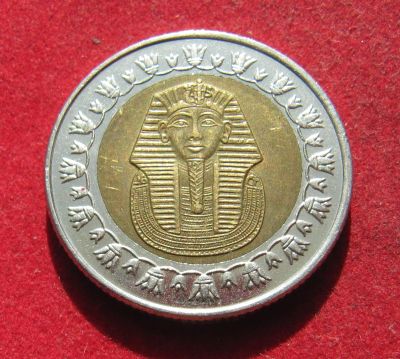 Лот: 19469884. Фото: 1. Египет 1 фунт, 2008 г. Остальные страны