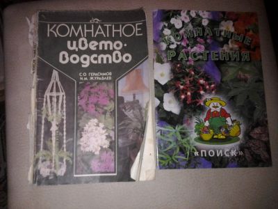 Лот: 7407684. Фото: 1. с. Геасимов Комнатное цветоводство... Сад, огород, цветы