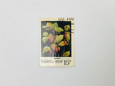 Лот: 23314632. Фото: 1. Дикорастущие ягоды. Кизил. Флора... Марки