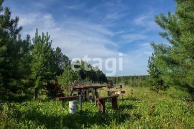 Лот: 25292825. Фото: 1. участок , СНТ Ладное СНТ Ладное... Земельные участки