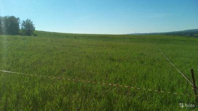 Лот: 13989187. Фото: 1. участок 12 соток емельяново. Земельные участки