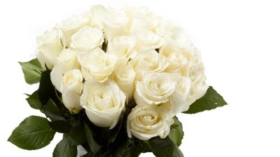 Лот: 6384450. Фото: 1. Белые розы от 65 рублей. Лот 51. Свежие цветы