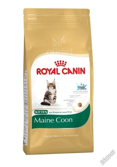 Лот: 6358634. Фото: 1. Royal Canin Kitten Maine Coon... Корма