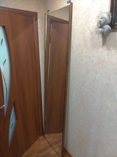 Лот: 13940105. Фото: 1. Дверь с большим зеркалом от шкафа. Шкафы, шкафы-купе