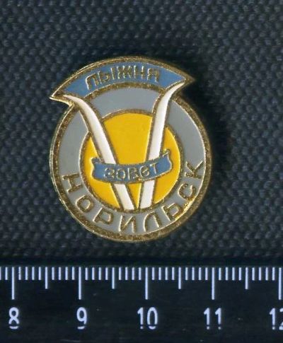 Лот: 16557310. Фото: 1. (№2529) знак спорт, лыжня зовёт... Другое (значки, медали, жетоны)