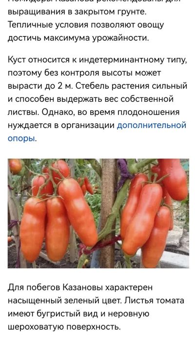 Лот: 20296008. Фото: 1. Рассада. Овощи