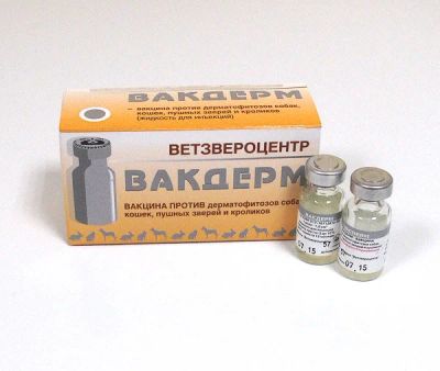 Лот: 15766971. Фото: 1. Вакдерм 1 доза. Лекарства для животных, ветеринарные препараты