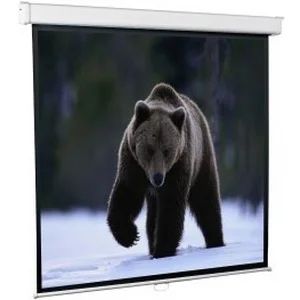 Лот: 5822905. Фото: 1. Настенный экран Redleaf SEM-1104... Проекторы