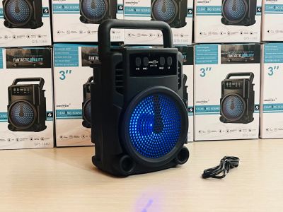 Лот: 25332766. Фото: 1. Bluetooth колонка с радио, новая. Портативные, беспроводные колонки