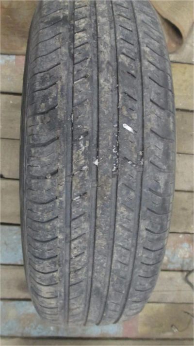Лот: 8438599. Фото: 1. шина 185/70 R 14. Шины