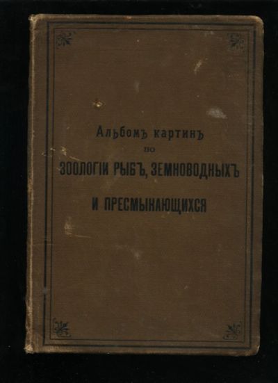 Лот: 16991270. Фото: 1. Альбом картин по зоологии рыб... Книги