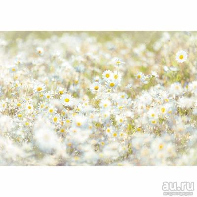 Лот: 12979732. Фото: 1. фотообои артикул 8-994. Обои, панели, ДВП, ДСП, МДФ