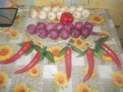 Лот: 5194561. Фото: 1. Муляжи для кухни. Аксессуары