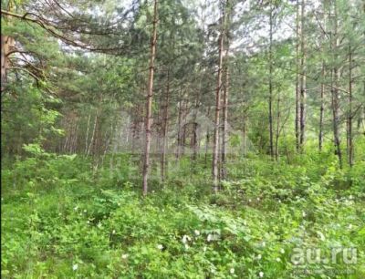 Лот: 18438907. Фото: 1. Продается участок 6.5 сот. , цена... Земельные участки