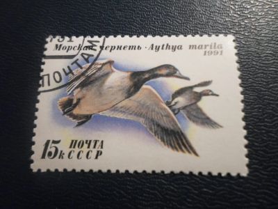 Лот: 17430688. Фото: 1. Марка для Вашей коллекции. №20027. Марки
