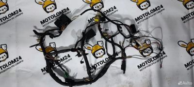 Лот: 23319013. Фото: 1. Проводка, коса Suzuki SV 400. Запчасти