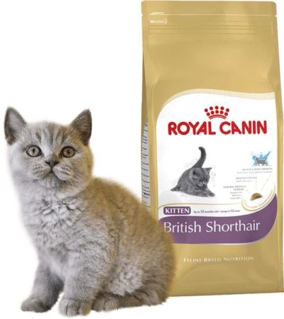 Лот: 6801927. Фото: 1. Royal Canin British Shorthair... Корма