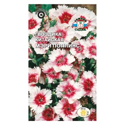 Лот: 24079306. Фото: 1. Семена Цветы, Гвоздика, Мэри Поппинс... Другое (семена, рассада, садовые растения)