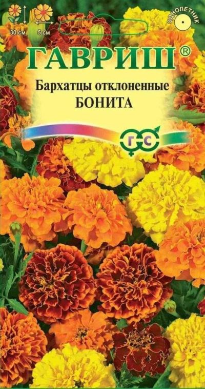 Лот: 11024198. Фото: 1. Бархатцы откл. Бонита (Тагетес... Садовые цветы