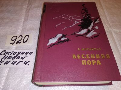 Лот: 7239526. Фото: 1. Весенняя пора, Николай Мординов... Художественная