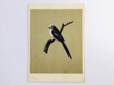 Лот: 23296616. Фото: 1. Толстой Ф. П. Попугай. Открытка... Открытки, конверты