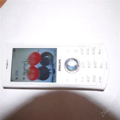 Лот: 1956669. Фото: 1. Philips Xenium X503. Кнопочные мобильные телефоны