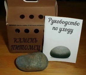 Лот: 5339744. Фото: 1. Камень-питомец. Другое (животные и уход)