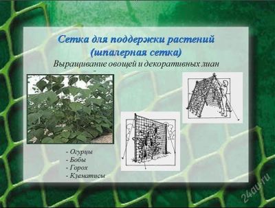 Лот: 1882103. Фото: 1. Сетка для въющихся и огурцов 2... Всё для ландшафта