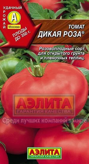 Лот: 3937121. Фото: 1. Томат (помидоры) Дикая роза (рассада... Другое (семена, рассада, садовые растения)