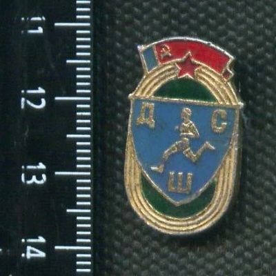 Лот: 15074589. Фото: 1. (№ 4158) значки спорт, ДСШ. Сувенирные