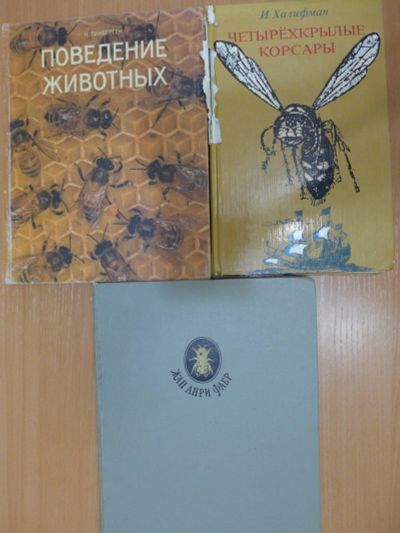 Лот: 13262112. Фото: 1. Книга книги о насекомых животных... Другое (литература, книги)
