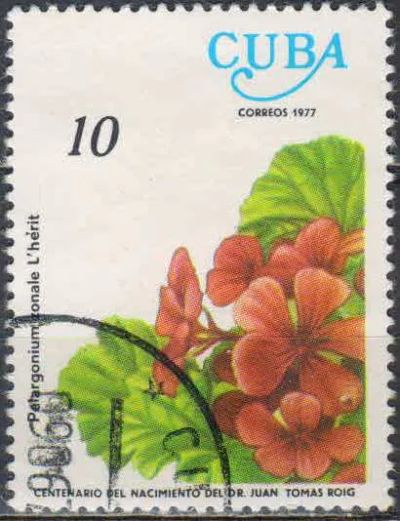 Лот: 25052464. Фото: 1. 1977. Куба. 100 лет со дня рождения... Марки