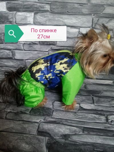 Лот: 17283466. Фото: 1. Комбенизоны для мелких собак. Ошейники, одежда, конное снаряжение