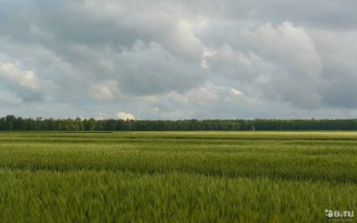 Лот: 13798371. Фото: 1. Участок 14 га (СНТ, ДНП). Земельные участки