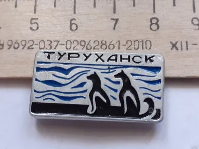 Лот: 19922846. Фото: 1. (№ 11422) значки Туруханск, верхушки... Сувенирные
