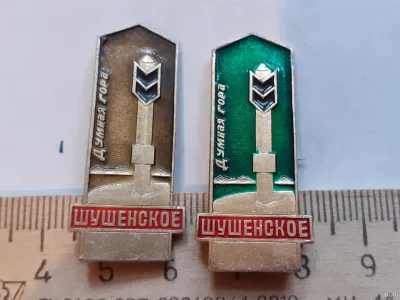Лот: 19922882. Фото: 1. (№ 11438) значки Шушенское,Думная... Сувенирные