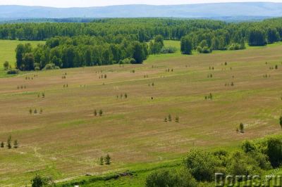 Лот: 4907444. Фото: 1. Продам участок, 2 км от Дрокино... Земельные участки