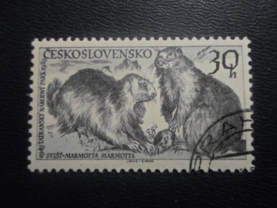 Лот: 19518711. Фото: 1. Марка для Вашей коллекции-торги... Марки
