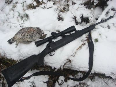 Лот: 5900497. Фото: 1. Карабин Savage-11F cal. 223REM. Охотничье оружие