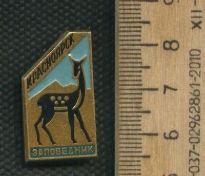 Лот: 17401944. Фото: 1. (№ 8229 ) значки флора фауна,Красноярск... Сувенирные