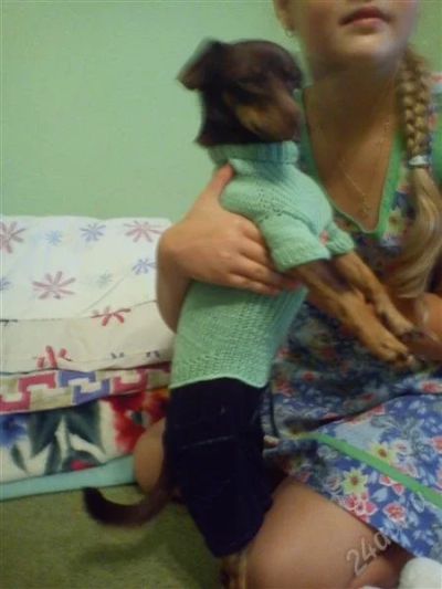 Лот: 2081446. Фото: 1. Комбинезон. Ошейники, одежда, конное снаряжение