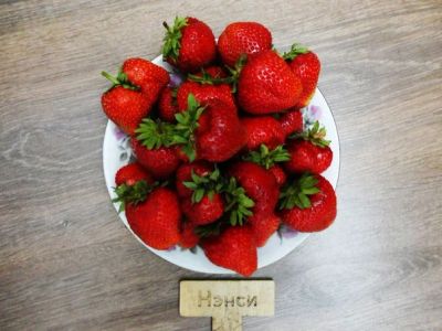 Лот: 9410682. Фото: 1. Клубника сорт "Нэнси". саженцы... Ягоды