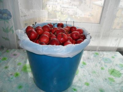 Лот: 10443059. Фото: 1. Ранетка (5-ти литровое ведро... Овощи, фрукты, зелень